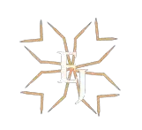 logo main